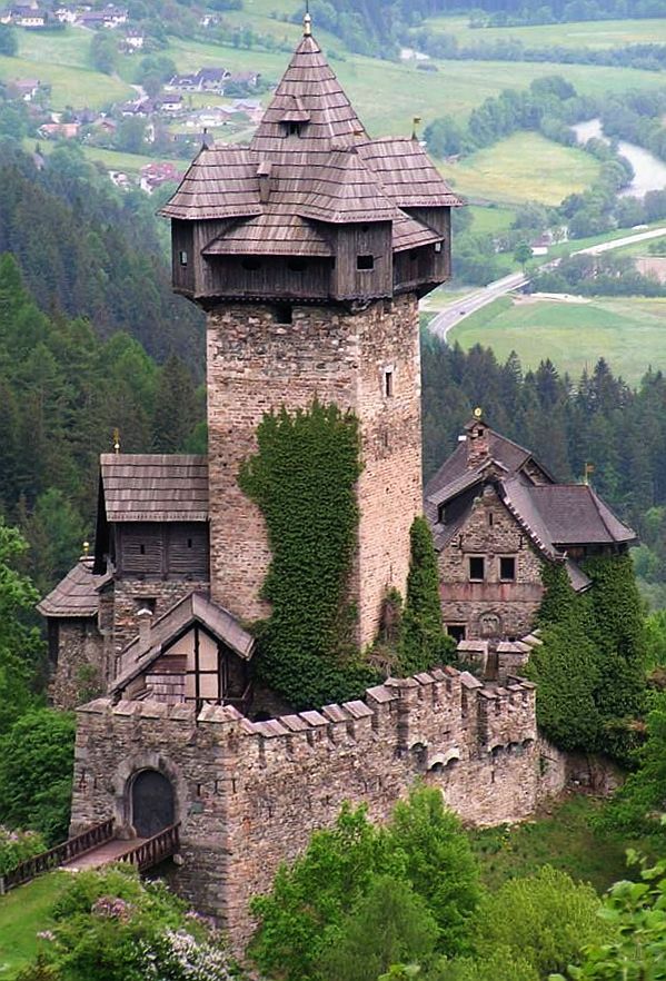 Burg Niederfalkenst…